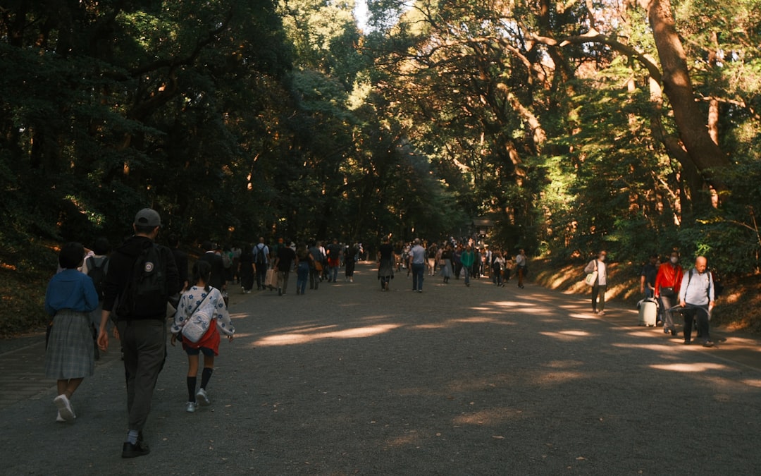 הפסטיבל שאסור לפספס - מסע מרתק לחגיגות התרבות הגדולות בעולם