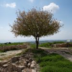 שי מזיג פנה לשוק הנדל"ן בקפריסין – והוביל מאות משקיעים להזדמנויות חדשות