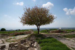 שי מזיג פנה לשוק הנדל"ן בקפריסין – והוביל מאות משקיעים להזדמנויות חדשות